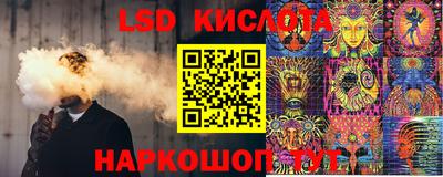 дмт Краснодар