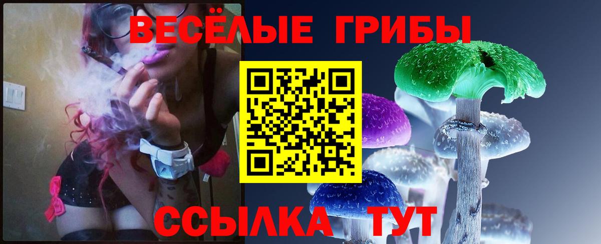 Галлюциногенные грибы Psilocybe Бирск