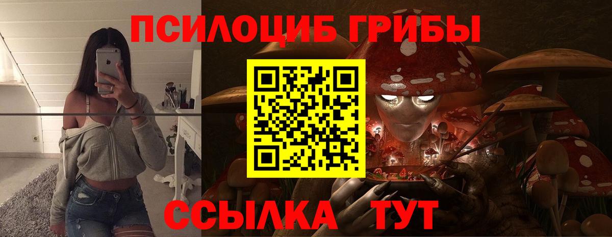Бирск  Псилоцибиновые грибы прущие грибы  Вход с VPN 
